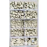 10 Mix Shape Handmade Clay Mirror Pieces Set for Lippan Art, Mandala Art, Mirror Work -818