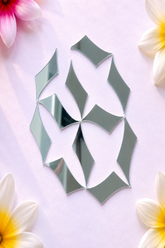 Limited Edition Wave Leaf Shape Silver Mirror - Ex-15