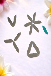 Limited Edition Right Petal Shape Glass Mirror Pieces for Lippan Art-Ex-33
