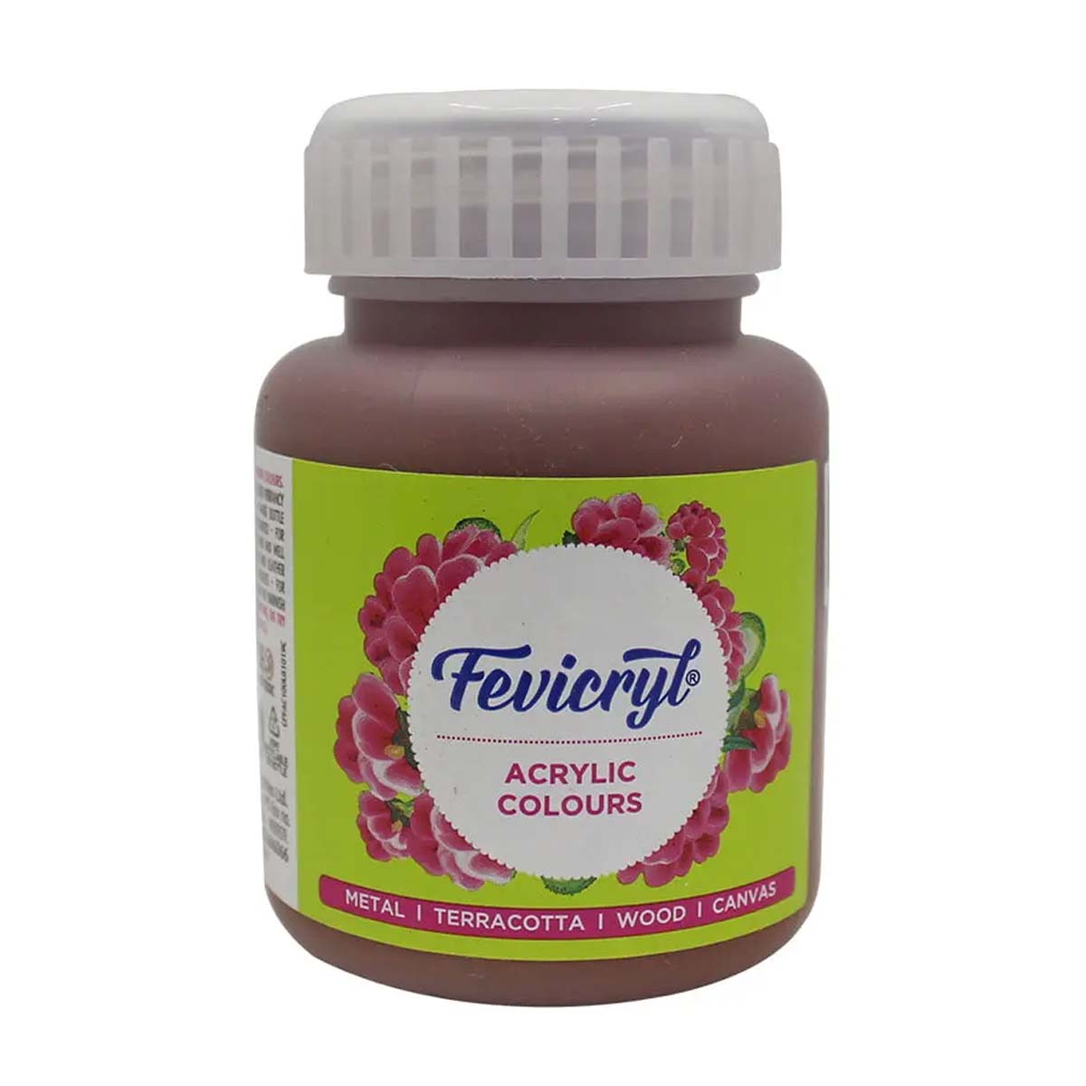 Fevicryl Art & Craft Paint 100ML