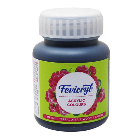Fevicryl Art & Craft Paint 100ML