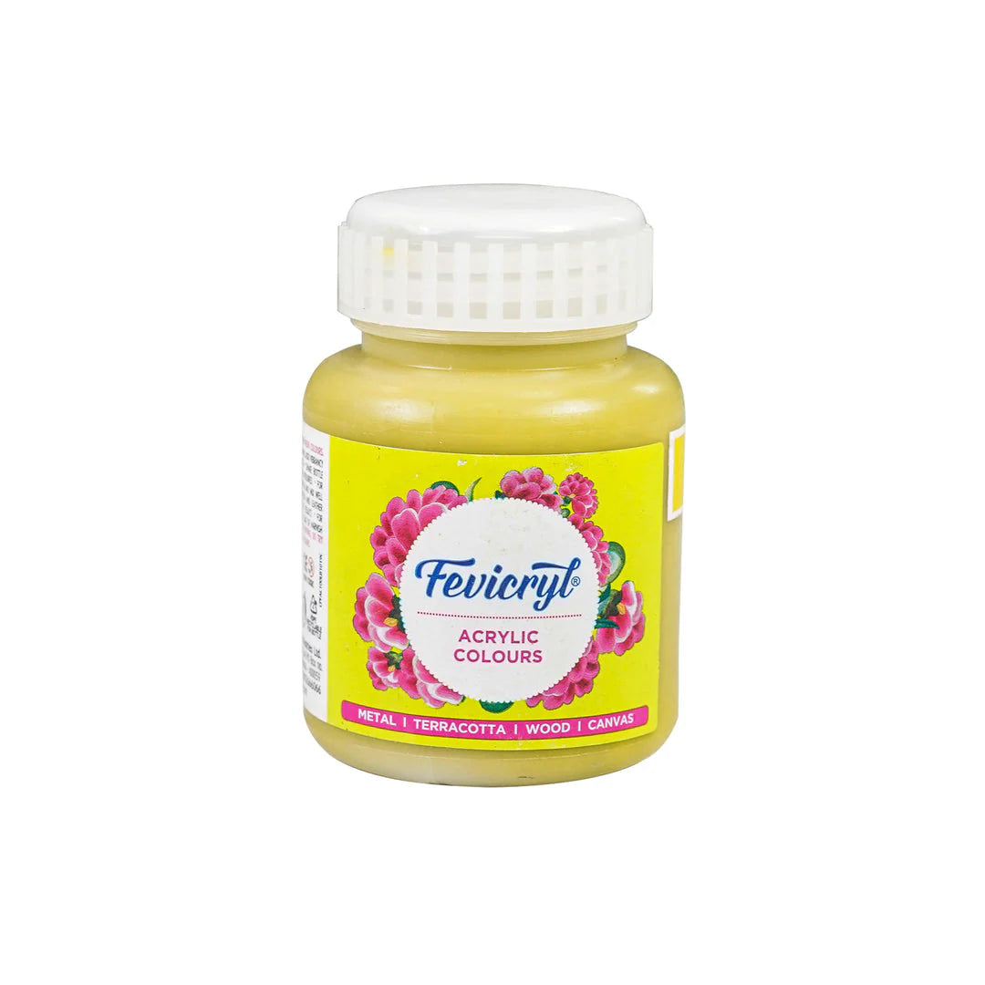 Fevicryl Art & Craft Paint 100ML