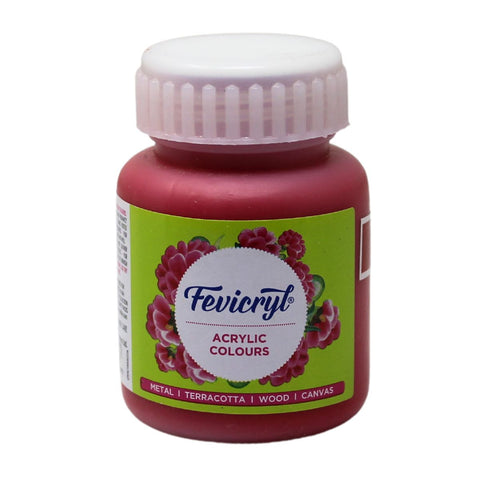 Fevicryl Art & Craft Paint 100ML