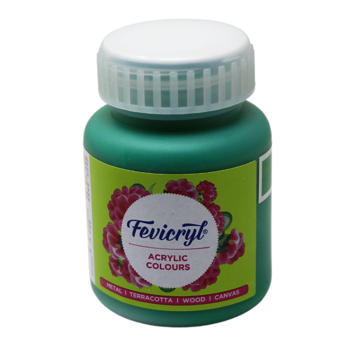 Fevicryl Art & Craft Paint 100ML