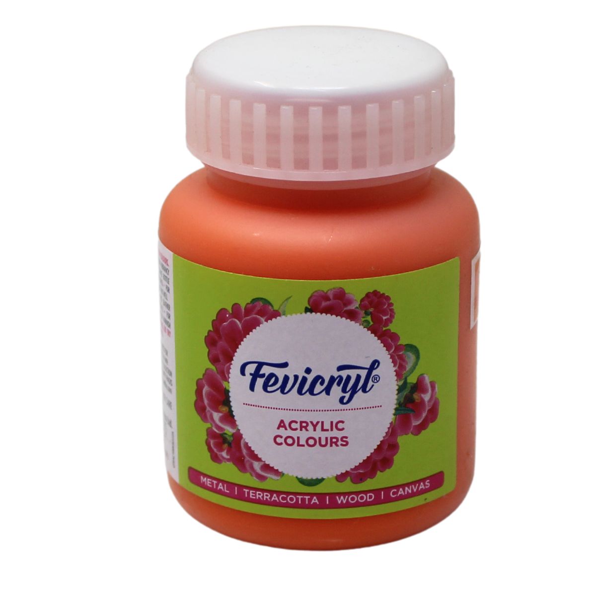 Fevicryl Art & Craft Paint 100ML
