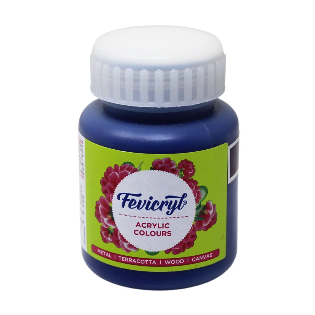 Fevicryl Art & Craft Paint 100ML