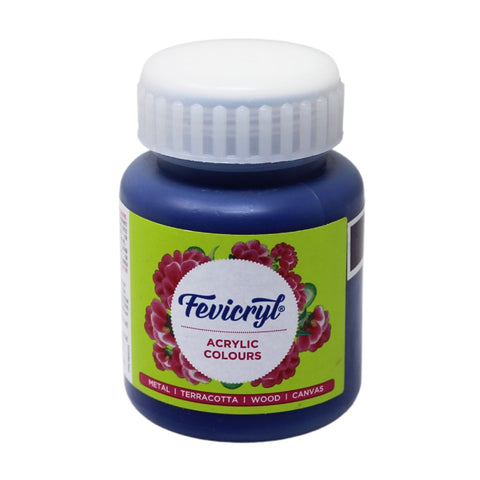 Fevicryl Art & Craft Paint 100ML
