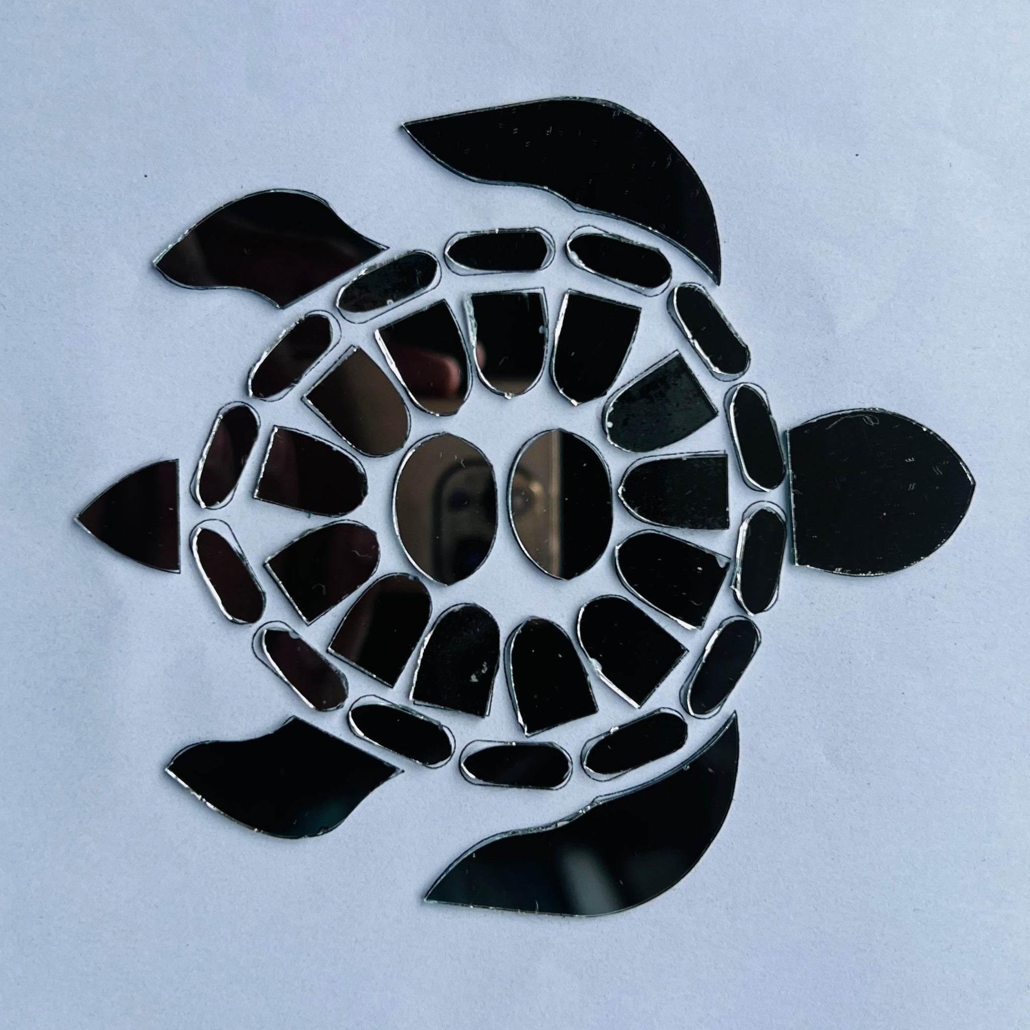 Fancy Turtle shape mirror K-1135