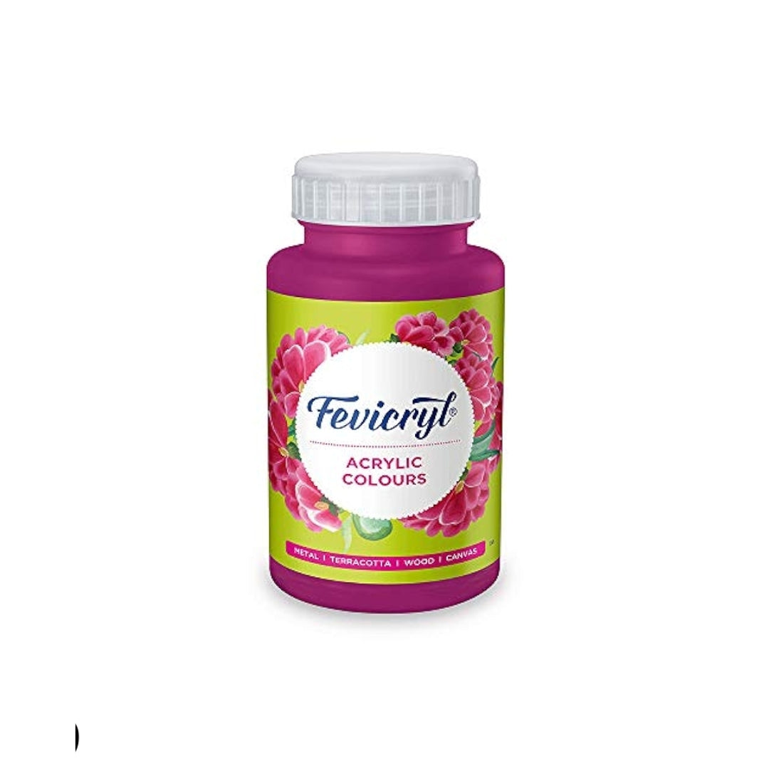 Fevicryl Art & Craft Paint 100ML