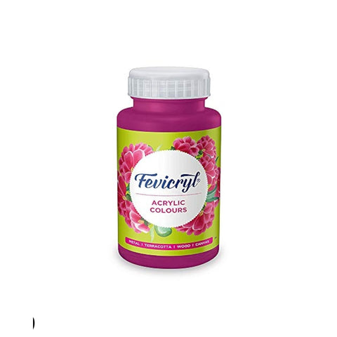 Fevicryl Art & Craft Paint 100ML