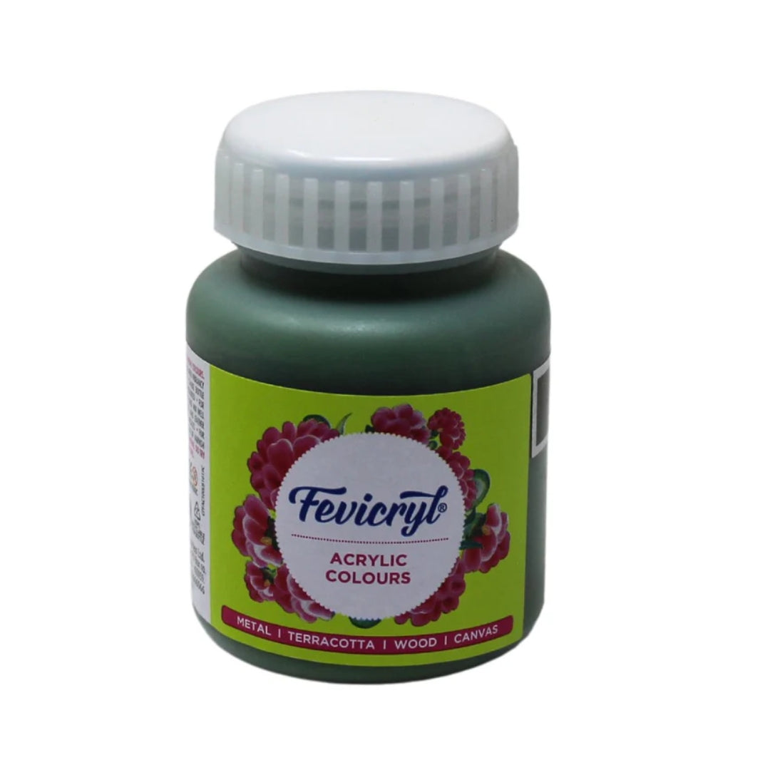Fevicryl Art & Craft Paint 100ML