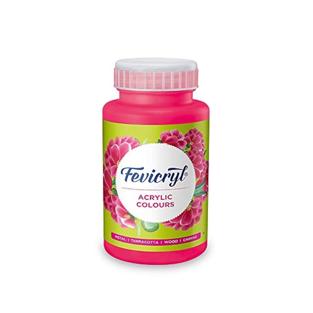 Fevicryl Art & Craft Paint 100ML