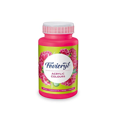 Fevicryl Art & Craft Paint 100ML