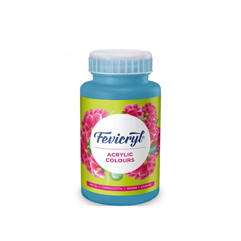 Fevicryl Art & Craft Paint 100ML
