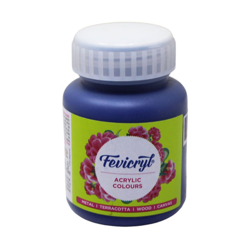 Fevicryl Art & Craft Paint 100ML