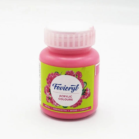 Fevicryl Art & Craft Paint 100ML