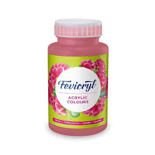 Fevicryl Art & Craft Paint 100ML