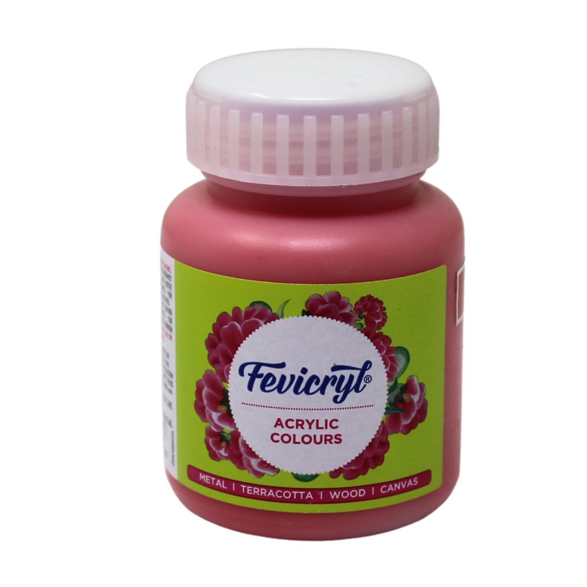 Fevicryl Art & Craft Paint 100ML