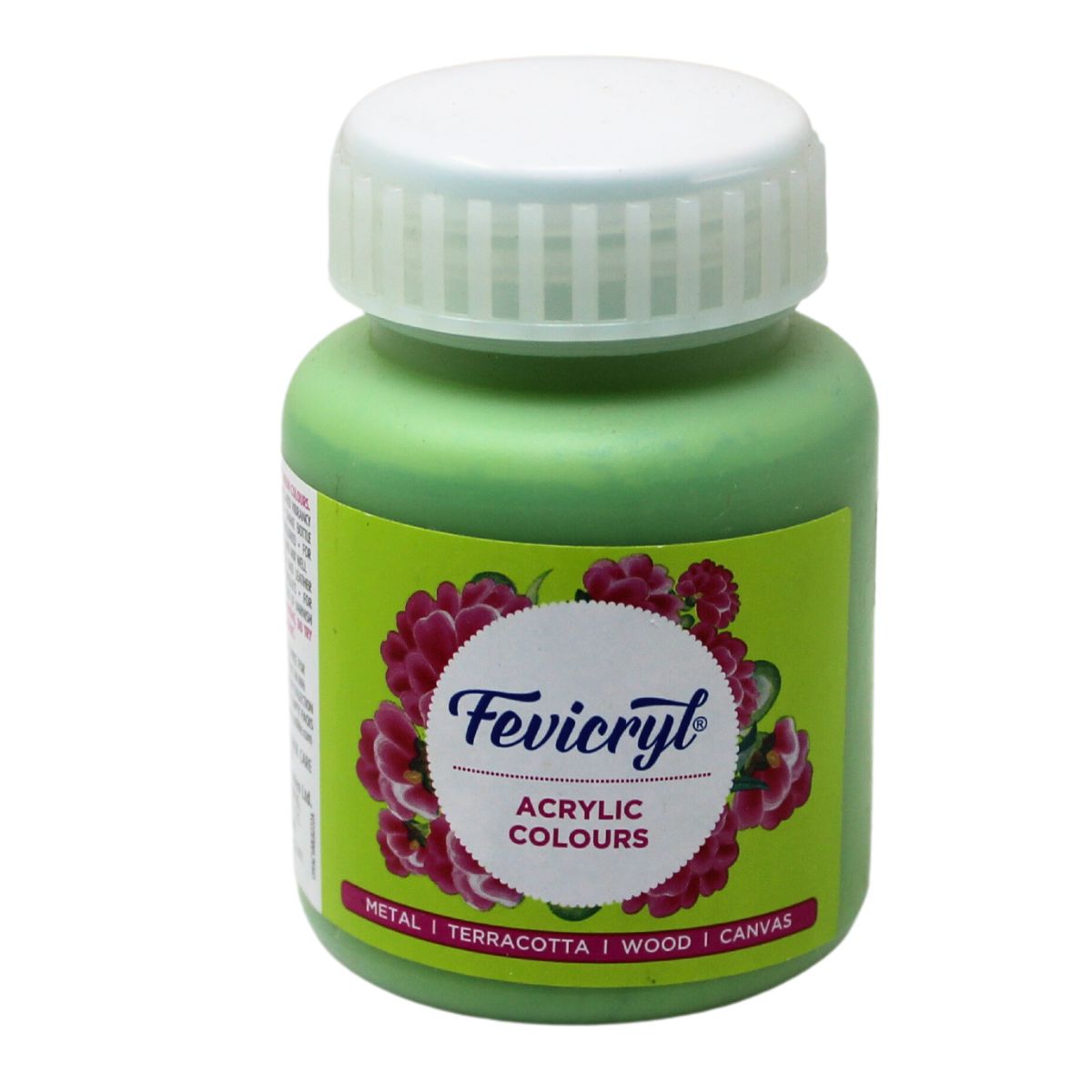 Fevicryl Art & Craft Paint 100ML