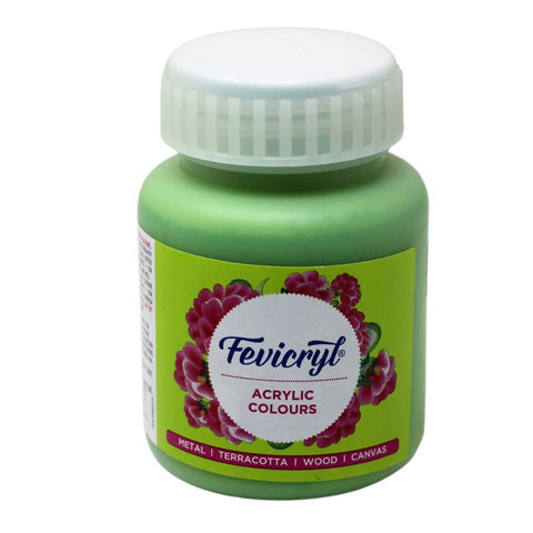 Fevicryl Art & Craft Paint 100ML