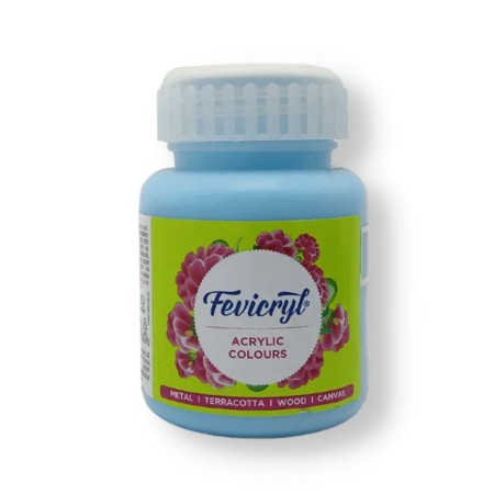 Fevicryl Art & Craft Paint 100ML
