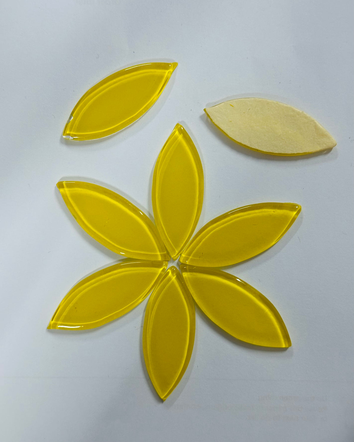 Dark  Petals  Yellow Color -576