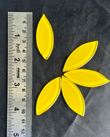 Dark  Petals  Yellow Color -576