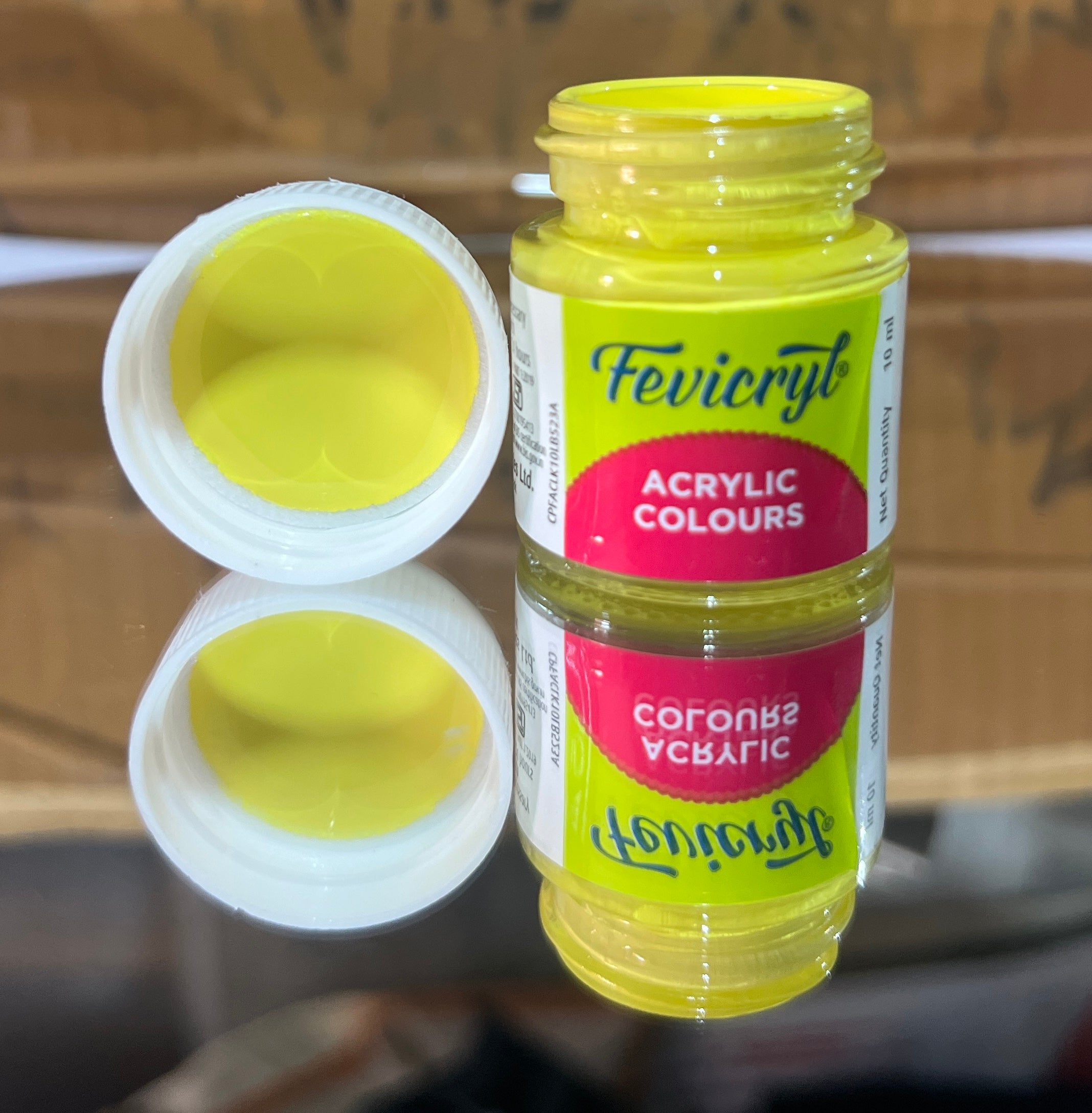 Fevicryl Art & Craft Paint