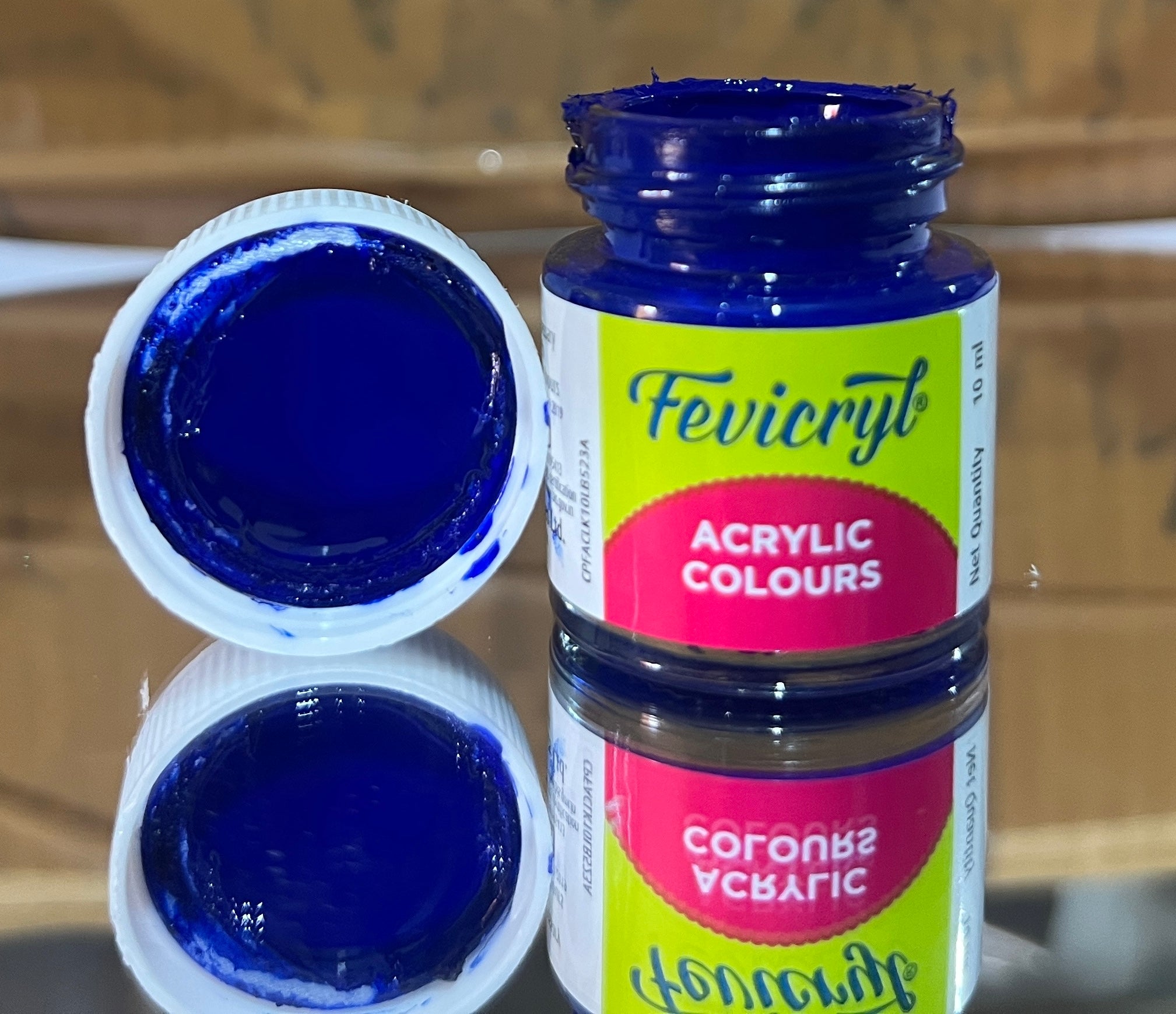 Fevicryl Art & Craft Paint