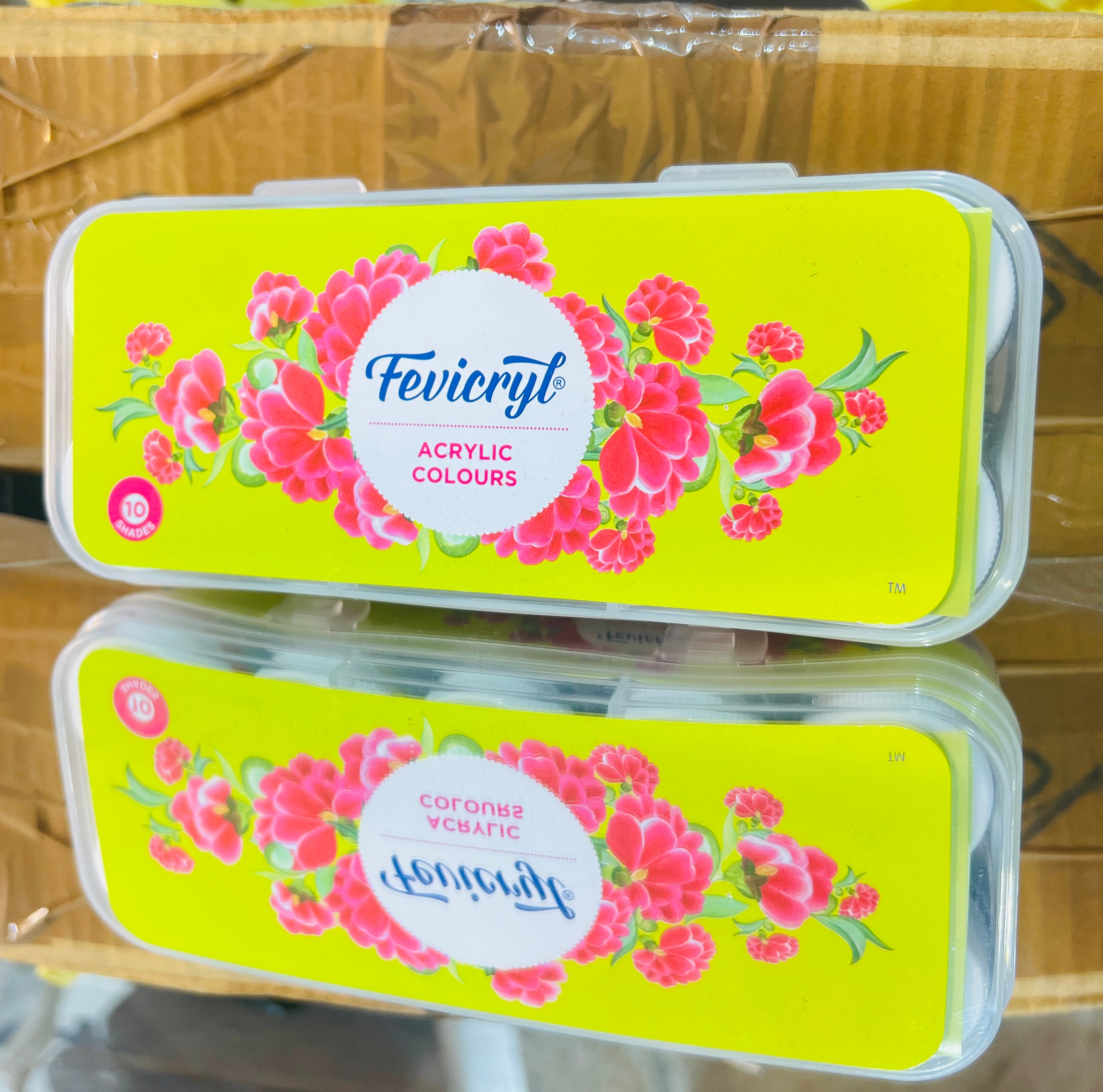 Kit girasole Fevicryl Acrilico Colori | 10 Colori x San Marino Kit girasole Fevicryl Acrilico Colori | 10 Colori x San Marino