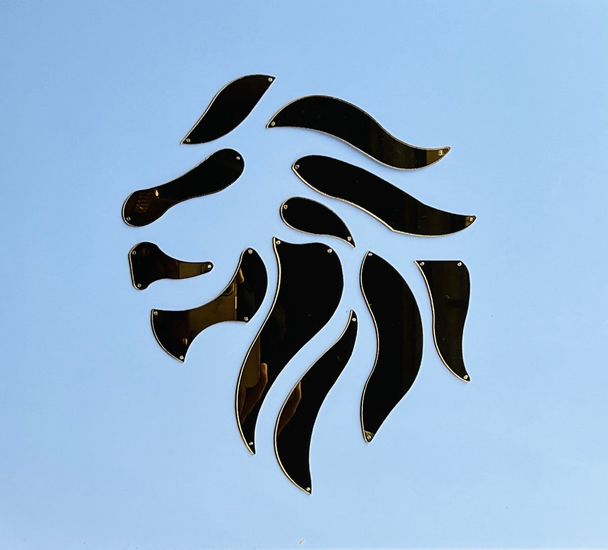 Acrylic fancy shape  Lion A-165