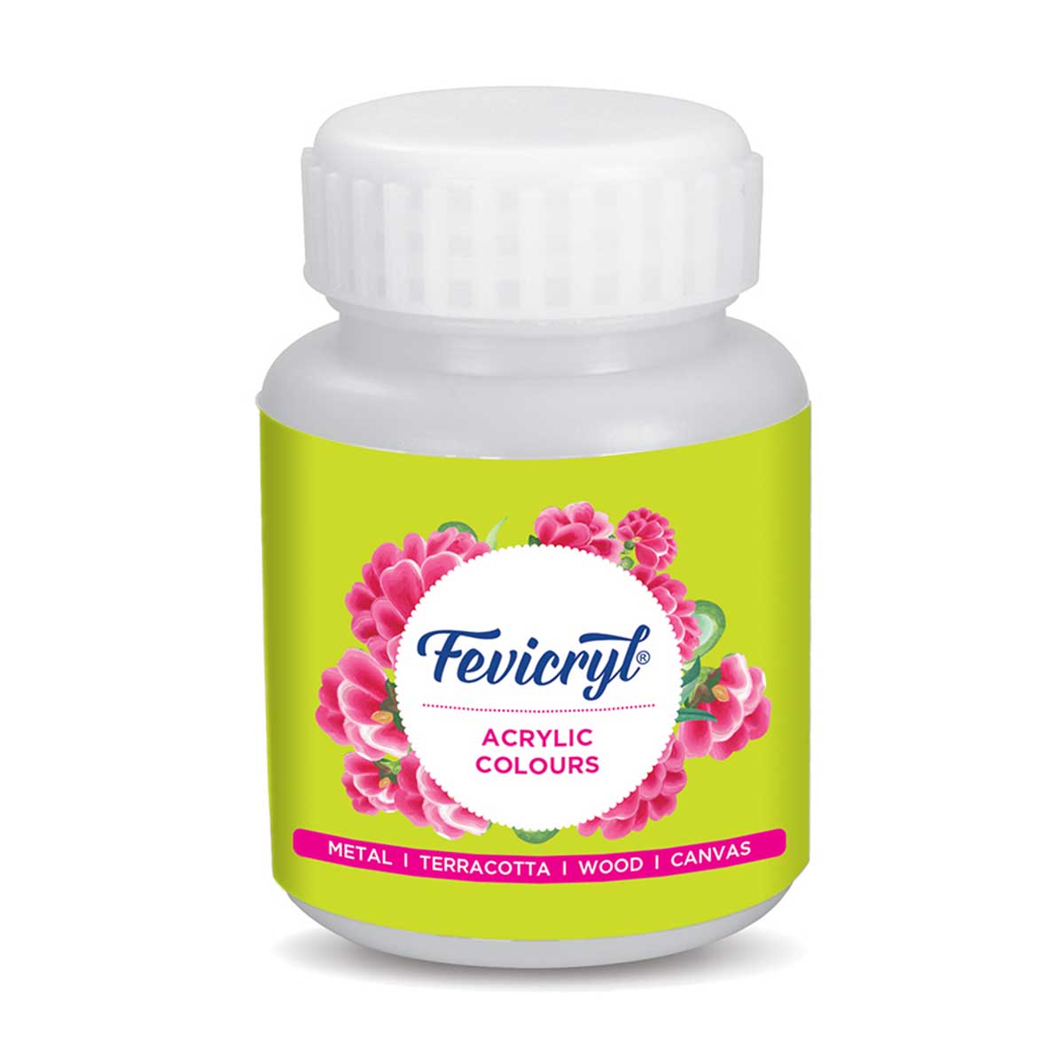 Fevicryl Art & Craft Paint 100ML